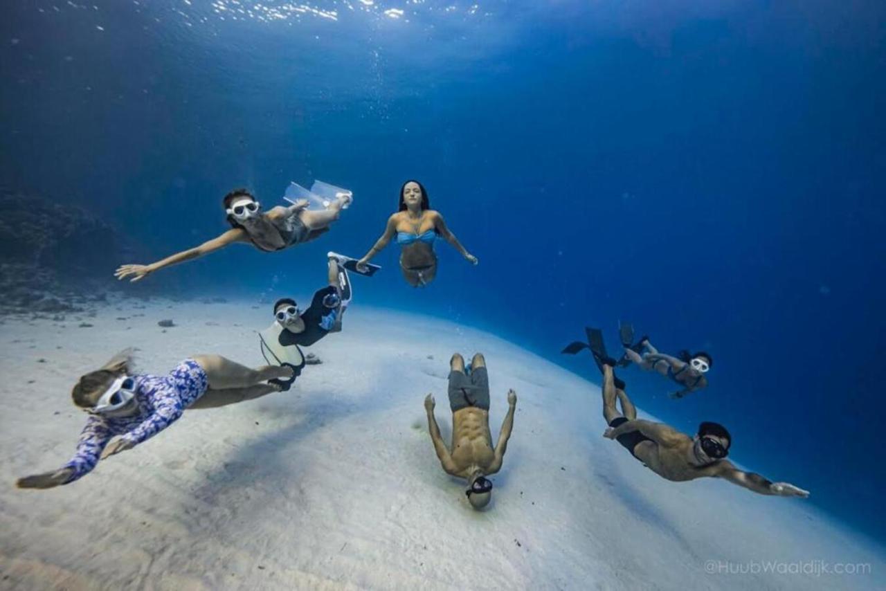 Blue Chitta Yoga & Freediving Hostel Koh Tao Exterior photo